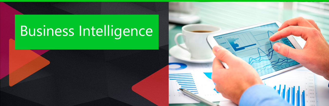 Business Intelligence
